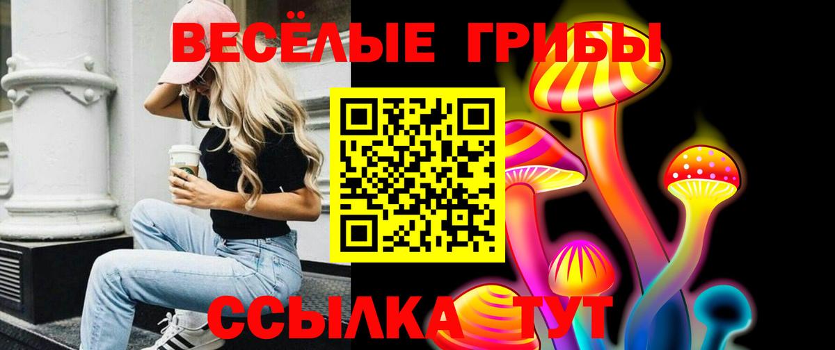 Галлюциногенные грибы Psilocybine cubensis  Вход с VPN  Миллерово 